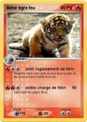 Bébé tigre