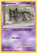 loup-schnauzer