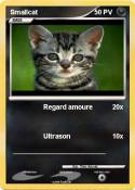 Smallcat
