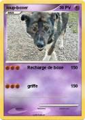 loup-boxer