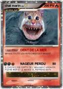 chat marin
