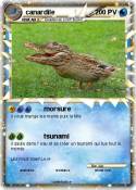canardile canardile