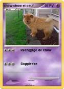 chow-chow et