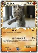 Ninjacat