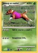 basenji en maillot basenji en