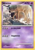 labrachow