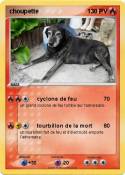 choupette