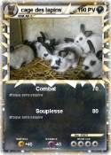 cage des lapins