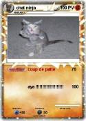 chat ninja