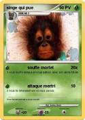 singe qui pue