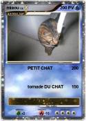 miaou
