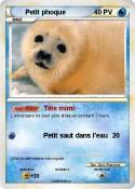 Petit phoque Petit phoque
