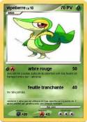 vipélierre vipélierre