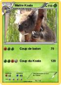 Maitre Koala