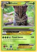 Ocelot Ocelot