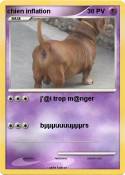 chien inflation