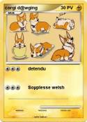 corgi d@wging
