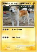 akita inu est