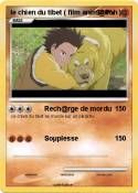 le chien du tibet ( film anim@tion le chien du