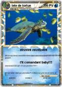 tete de tortue