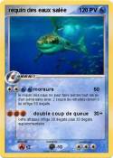 requin des eaux salée requin des eaux