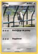 poney