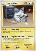 chat guittare 3