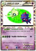 celebi et zorua