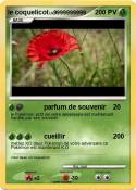 le coquelicot