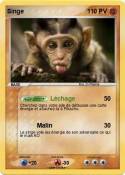 Singe