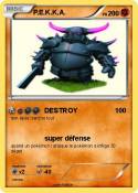 P.E.K.K.A.