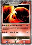 Esprit de feu Esprit de feu