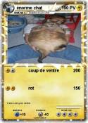 énorme chat