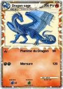 Dragon sage