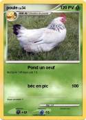 poule