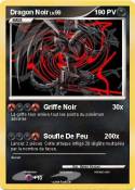 Dragon Noir