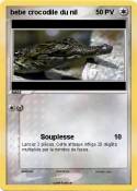 bebe crocodile