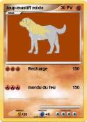 loup-mastiff mixte loup-mastiff