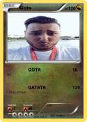 Gota