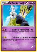 Mr Perfect cell