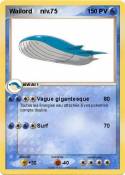 Wailord niv.75