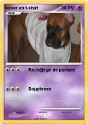 boxer en