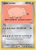  spider cochon 