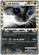 chat fantome