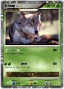 le loup