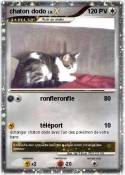 chaton dodo