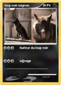 loup noir