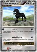 Frison sauvage
