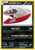 CHICAGO BULL