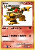 bowser